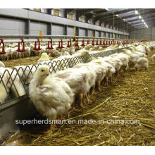 Automatische Geflügel-Landwirtschafts-Ausrüstung für Züchter